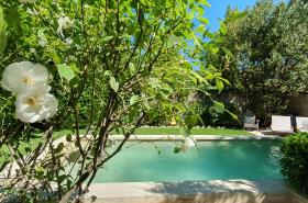 La Bastide de Patou - photo 25