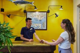 Hôtel Marsiho - photo 20