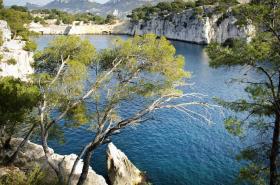 Novotel Marseille Est Porte d'Aubagne - photo 24