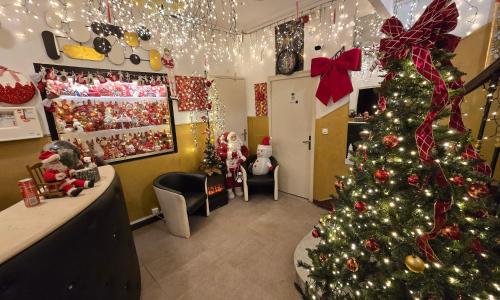 Hôtel des allées - photo 1